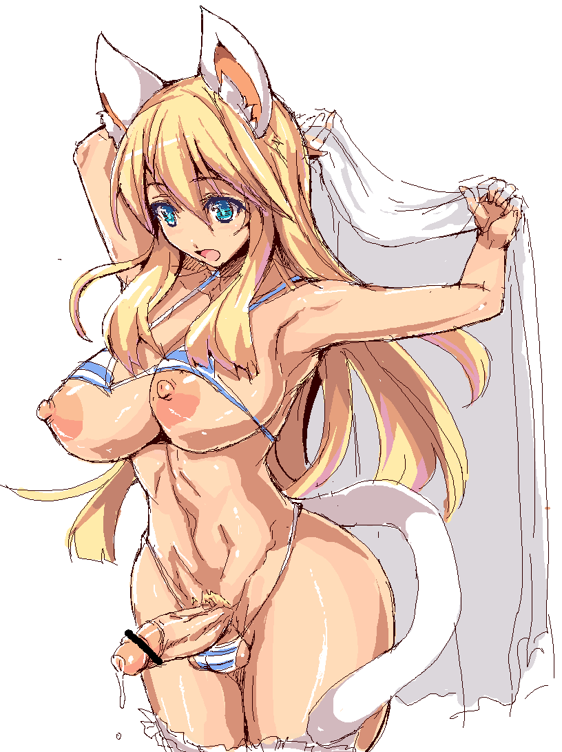 つよそうなにゃんこ